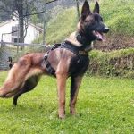 Sapatos, frutas e roupas ajudaram autoridades a localizarem crianças na Amazônia colombiana  