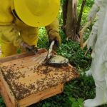 Governo Zema define próxima prioridade na Assembleia Legislativa