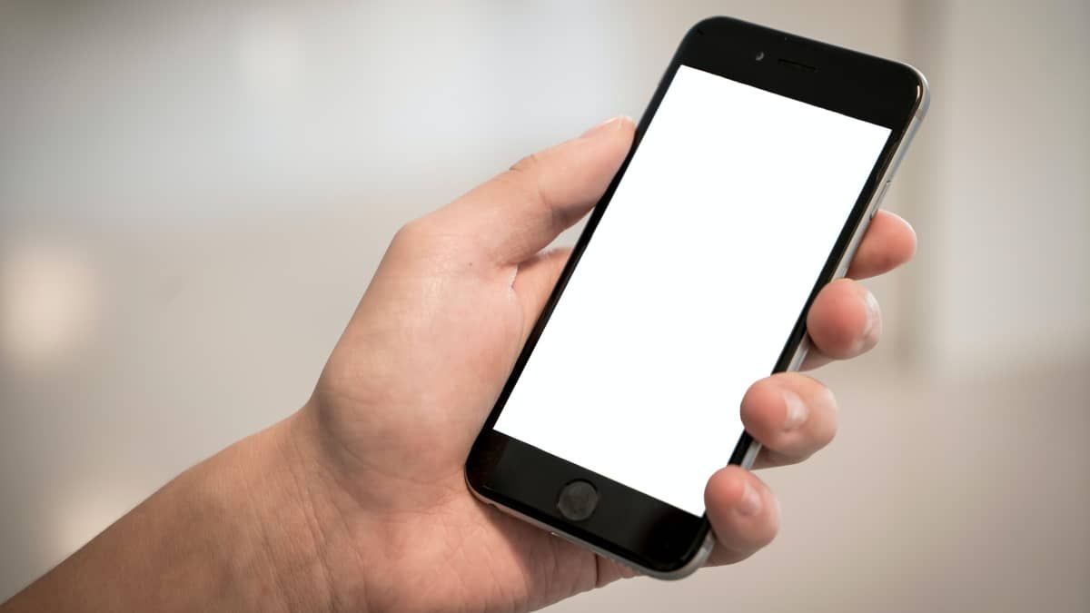 Usuários de internet não checam informações, aponta estudo