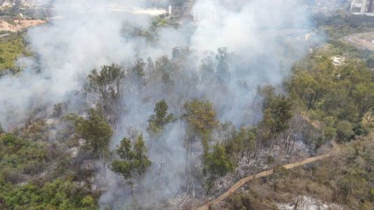 Um incêndio atingiu uma mata próxima ao BH-TEC na tarde desta segunda-feira (25)