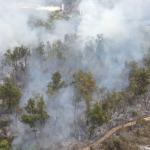 Incêndio atinge mata da UFMG e mobiliza Bombeiros em BH