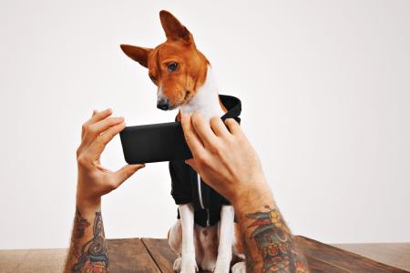 Petfluencers podem ser pontes entre o público e causas relevantes. Mas, para isso, é preciso lembrar que, no centro de todo conteúdo, está um ser vivo