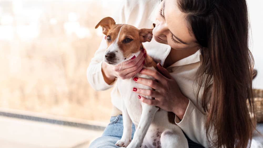 Ter contato com cachorro faz bem para o cérebro, afirma estudo