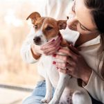 Ter contato com cachorro faz bem para o cérebro, afirma estudo