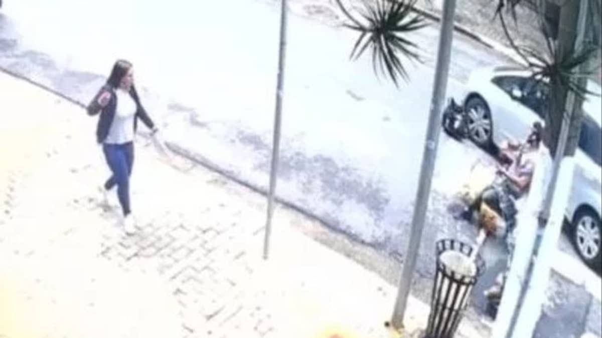 Motorista atropela passeador com cinco cães e foge em bairro de luxo em SP
