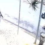 Motorista atropela passeador com cinco cães e foge em bairro de luxo em SP