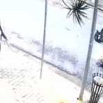 Motorista atropela passeador com cinco cães e foge em bairro de luxo em SP