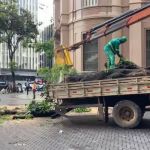 Vídeo: Prefeitura retira árvore que caiu na Praça Sete e atingiu idosa