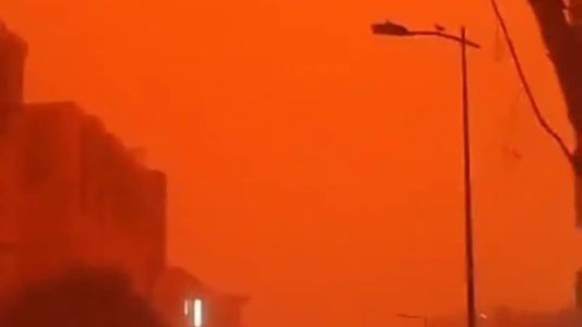 Uma pessoa morreu após ser atingida por uma árvore que caiu