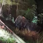 Após acidente com ônibus, Buser oferece cupom de R$ 15 para vítimas