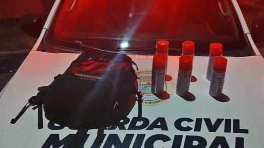 Uma réplica de arma de fogo também foi apreendida