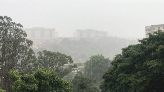 Umidade relativa do ar fica em torno de 85% no período da tarde.