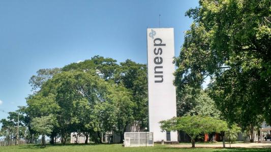 SP aprova lei que proíbe trotes violentos em faculdades e escolas | CNN Brasil
