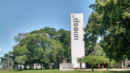 SP aprova lei que proíbe trotes violentos em faculdades e escolas | CNN Brasil