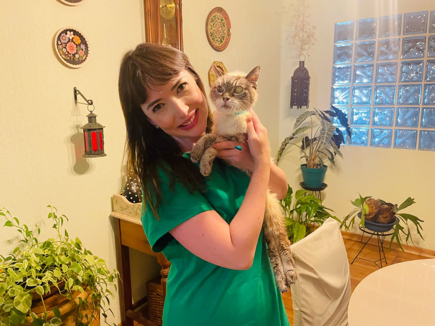 Março Amarelo alerta tutores sobre doenças renais em pets