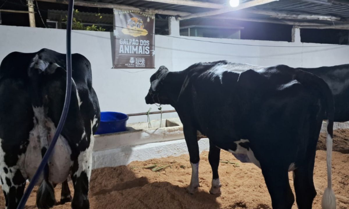 Inscrições abertas para Circuito de Eventos Agropecuários de 2025 em JF