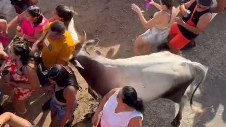 Foto mostra vaca em meio a populares em festa no Rio Grande do Norte