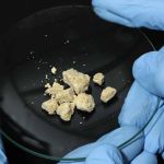 Vacina anticrack brasileira é finalista de prêmio e busca financiamento para testes em humanos