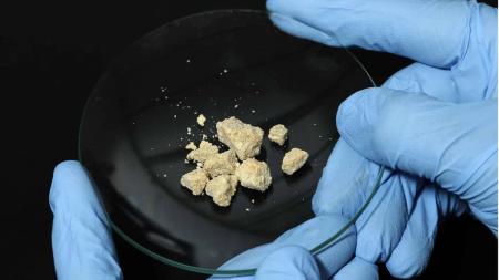 Vacina anticrack brasileira é finalista de prêmio e busca financiamento para testes em humanos.