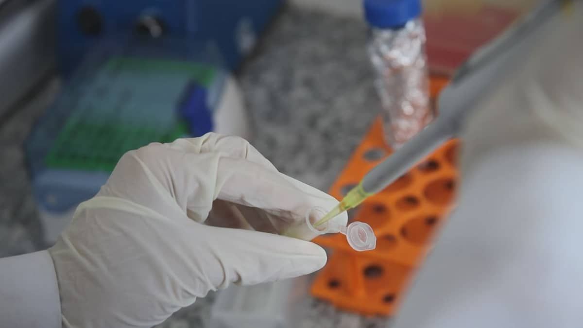 Vacina contra cocaína barra “circuito de recompensa” da droga, diz pesquisador