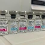 Dengue em BH: quem já teve a doença pode se vacinar? Entenda