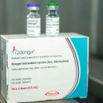 Fiocruz oficializa pedido para produzir vacina contra dengue no Brasil