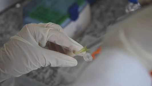 Vacina é vencedora do Prêmio Euro Inovação na Saúde e superou outras 11 finalistas