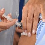 Ministério da Saúde pede incorporação de vacina contra Chikungunya no SUS