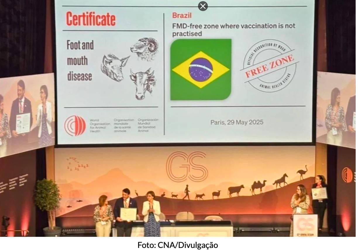 Brasil fica livre da febre aftosa em reunião da OMSA em Paris