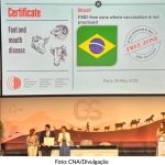 Brasil fica livre da febre aftosa em reunião da OMSA em Paris