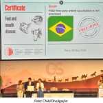 Brasil fica livre da febre aftosa em reunião da OMSA em Paris