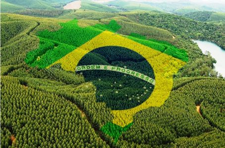 O gerente de futebol do Cruzeiro, Valdir Barbosa, anunciou neste domingo seu desligamento do clube. Ele aceitou uma proposta do Coritiba e vai assumir a mesma função no clube paranaense. Em entrevista coletiva, Valdir disse que a recente chegada do