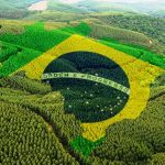 Mais de 180 mil empregos podem ser perdidos pela indústria da madeira no tarifaço