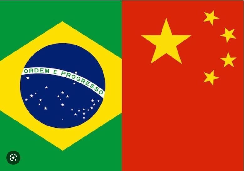 Será que o Brasil consegue antecipar o desbloqueio da carne de frango na China?