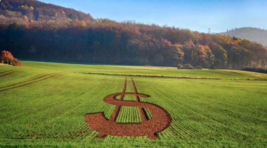 Governo divulgou as linhas de financiamentos do próximo ano agrícola