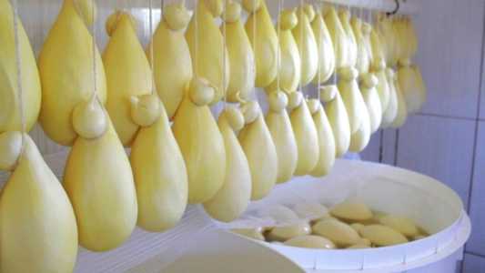 Vale do Jequitinhonha é oficialmente reconhecida como produtora de queijo artesanal, graças ao Cabacinha