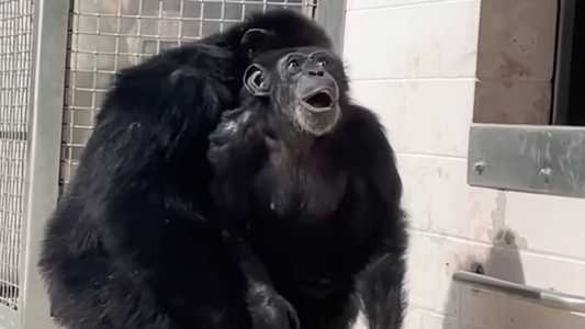 Vanilla sorriu e ficou surpresa ao ver o céu pela primeira vez