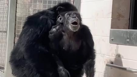 Vanilla sorriu e ficou surpresa ao ver o céu pela primeira vez