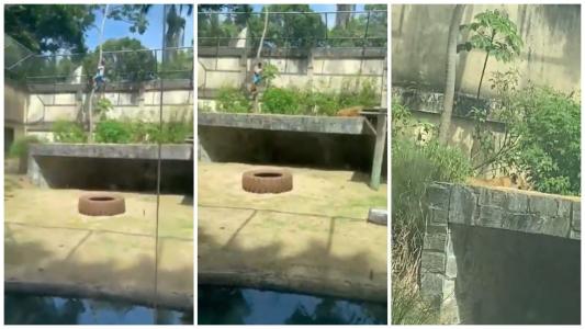 Jovem tinha histórico de problemas pisquiátricos