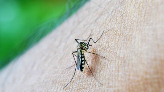 Varginha tem 435 casos confirmados de dengue em 2023