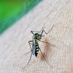 Varginha confirma primeira morte por dengue  