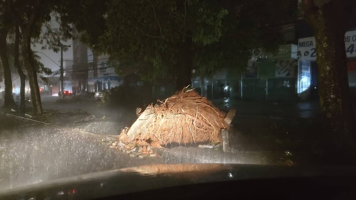 Chuva: córrego ameaça transbordar, e avenida Tereza Cristina é interditada em BH e em Contagem