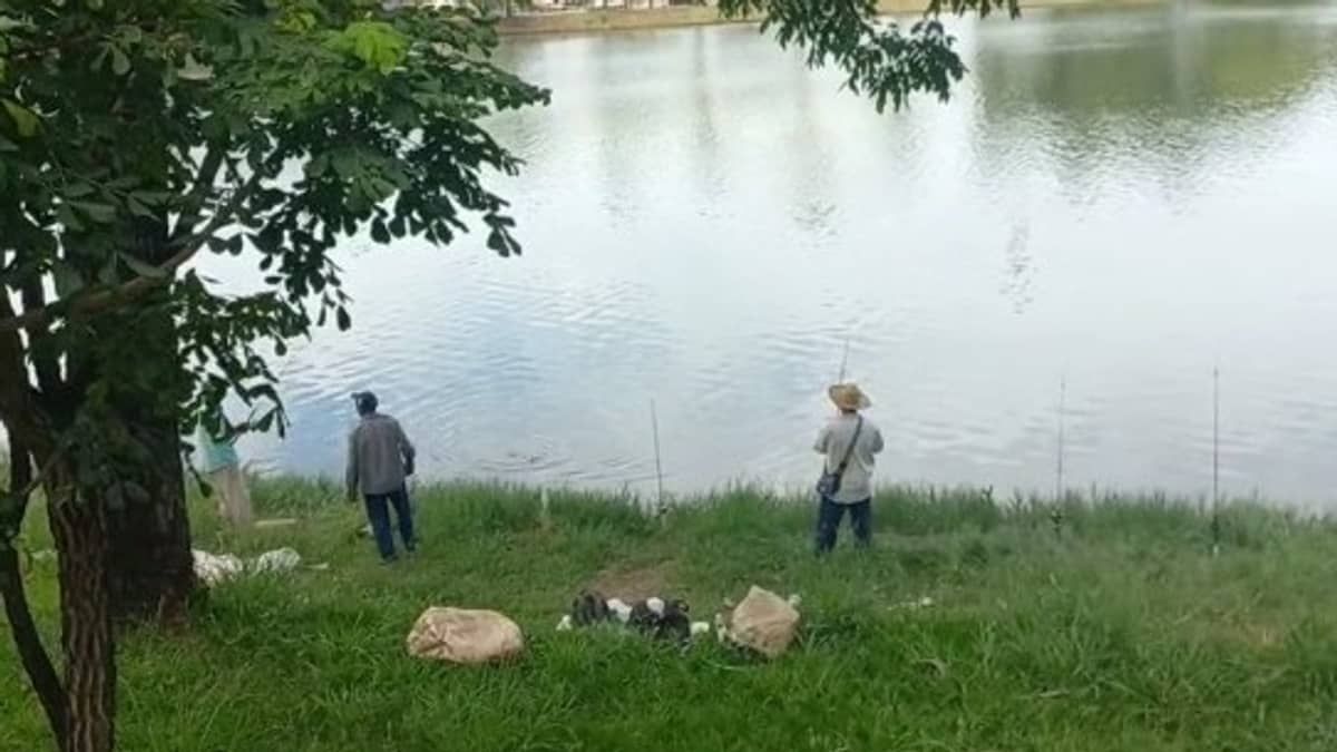 'Essa água não está contaminada', diz homem que pesca na Lagoa da Pampulha há 37 anos; especialistas discordam