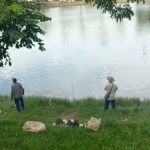 'Essa água não está contaminada', diz homem que pesca na Lagoa da Pampulha há 37 anos; especialistas discordam