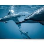 Cansado de cabos? TV 4K sem fio estará disponível em breve