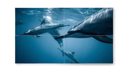 Várias TVs sem fio podem ser usadas juntas para formar imagens maiores