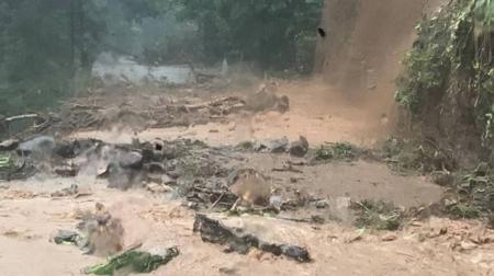 Vários trechos de estradas foram interditados com fortes chuvas que atingem litoral norte de São Paulo