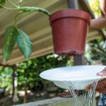 Agentes de endemias intensificam fiscalização em seis regiões de Juiz de Fora