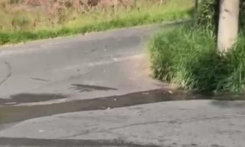 vazamento de esgoto no bairro borboleta em juiz de fora