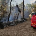 Laboratório da UFMG que desenvolve vacina contra Covid-19 é evacuado após incêndio em mata da UFMG